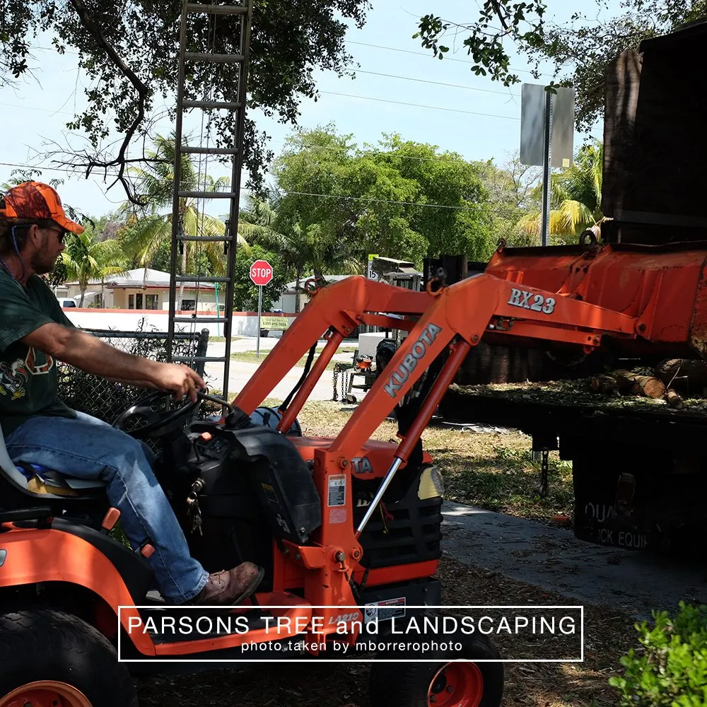 Trusted residential landscaping experts serving Hollywood, FL - Parsons Tree Service