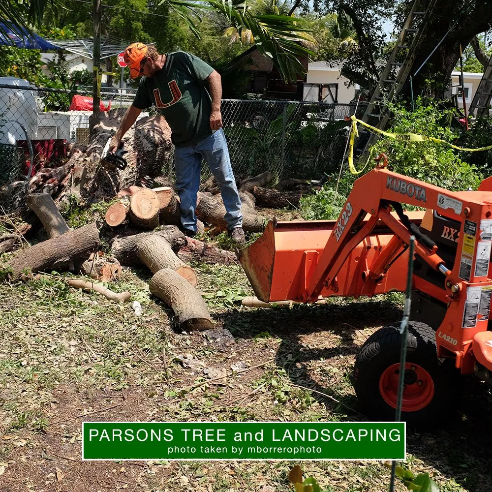 Trusted residential landscaping experts serving Hollywood, FL - Parsons Tree Service