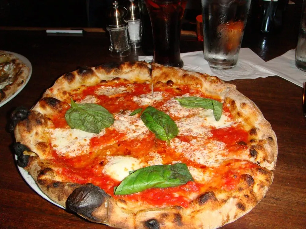 Affordable yard maintenance for outdoor upgrades across Hollywood, FL - Parsons Tree Service