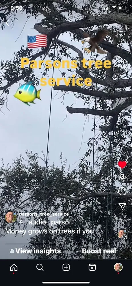 Expert landscape installation with custom design across Hollywood, FL - Parsons Tree Service