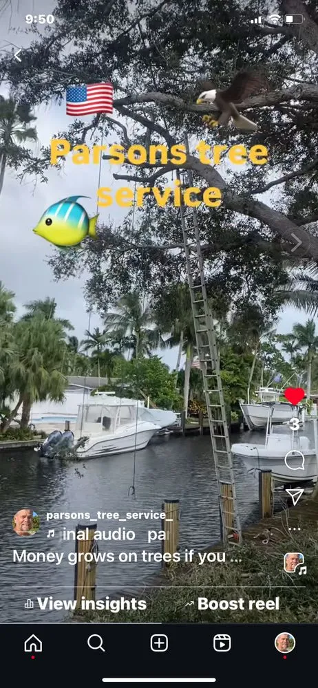 Expert lawn care service for residential properties across Hollywood, FL - Parsons Tree Service