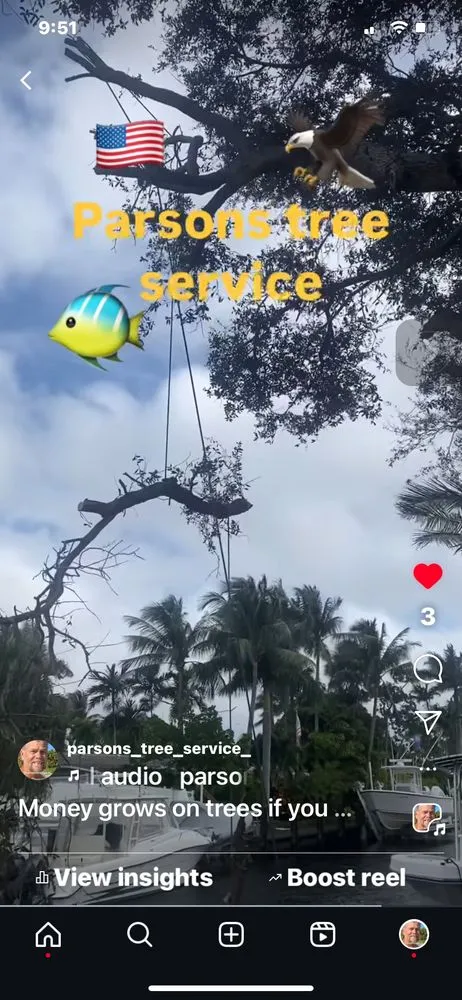 Professional yard maintenance experts serving Hollywood, FL - Parsons Tree Service