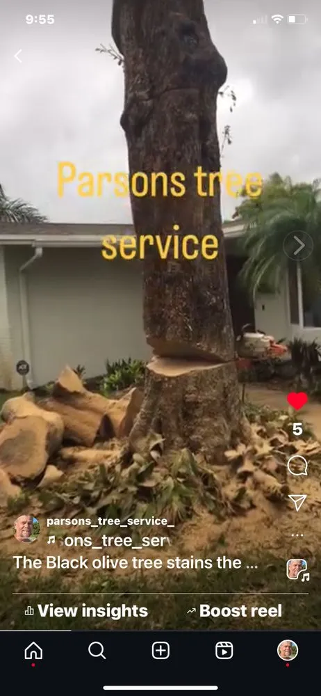 Top-rated lawn mowing service with custom design across Hollywood, FL - Parsons Tree Service
