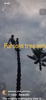 Parsons Tree Service