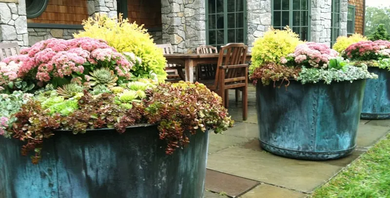 Top-rated outdoor landscaping experts serving North Billerica, MA - Parterre Garden Services