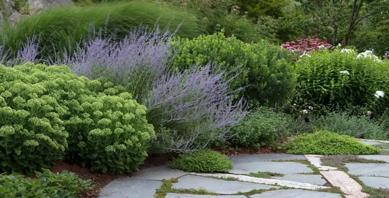 Affordable lawn care service experts serving North Billerica, MA - Parterre Garden Services