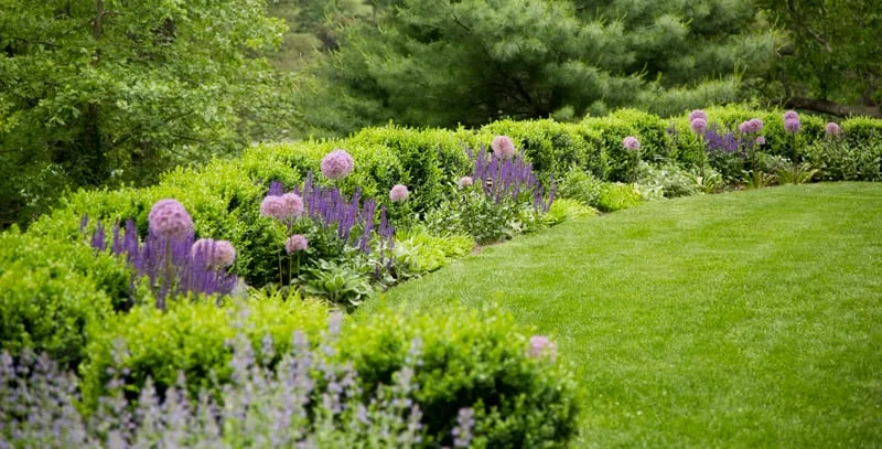Professional landscaping services for residential properties in North Billerica, MA by Parterre Garden Services