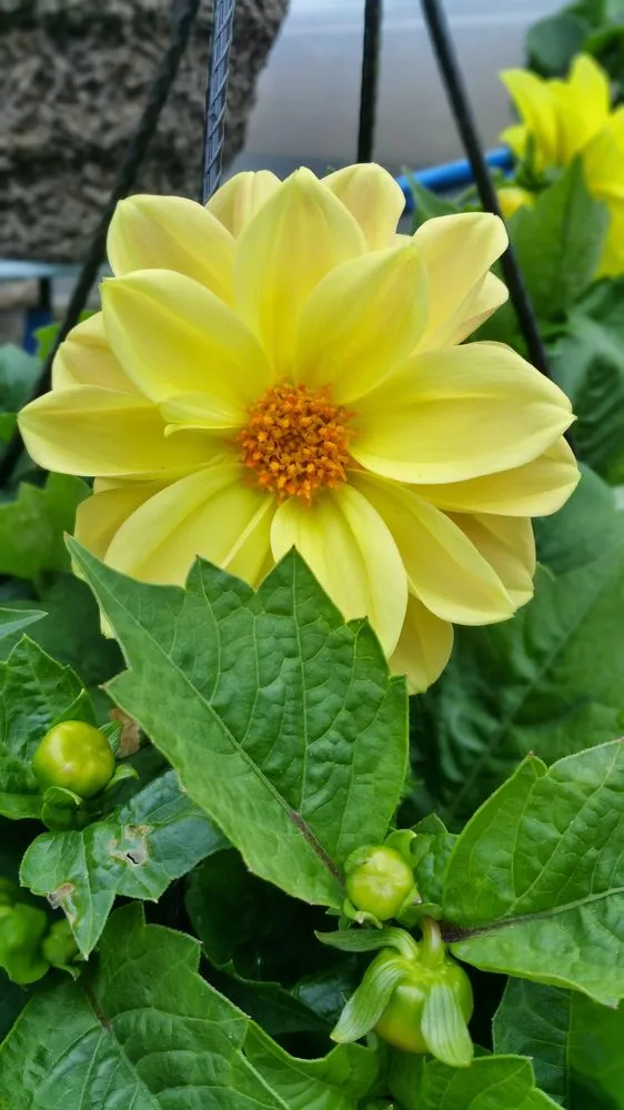 Reliable lawn mowing service for year-round maintenance across Marinette, WI - Parthie Landscape & Stone