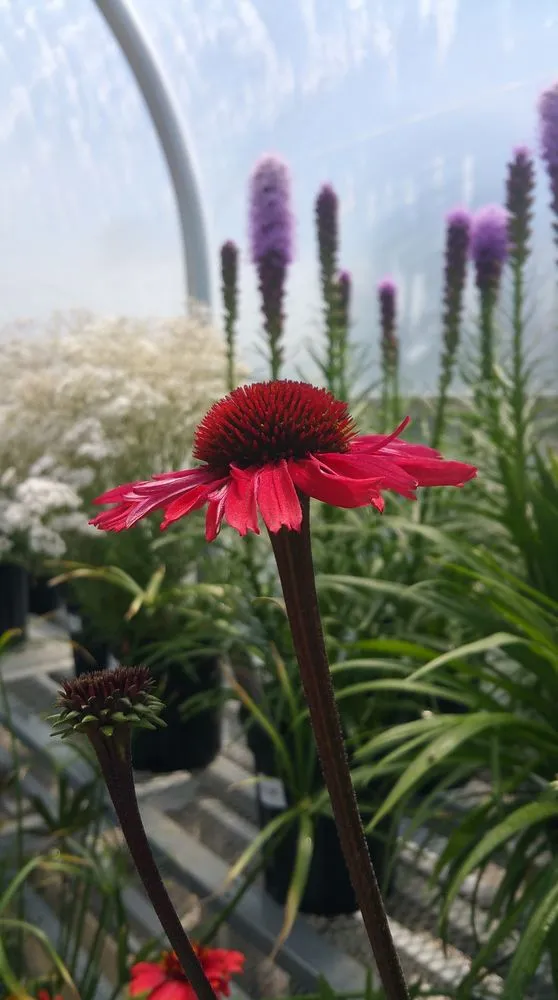 Custom lawn mowing service in Marinette, WI by Parthie Landscape & Stone