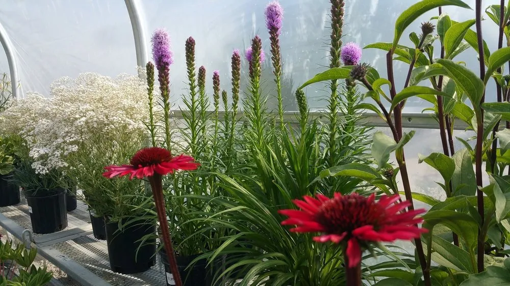 Trusted landscaping services in Marinette, WI - Parthie Landscape & Stone