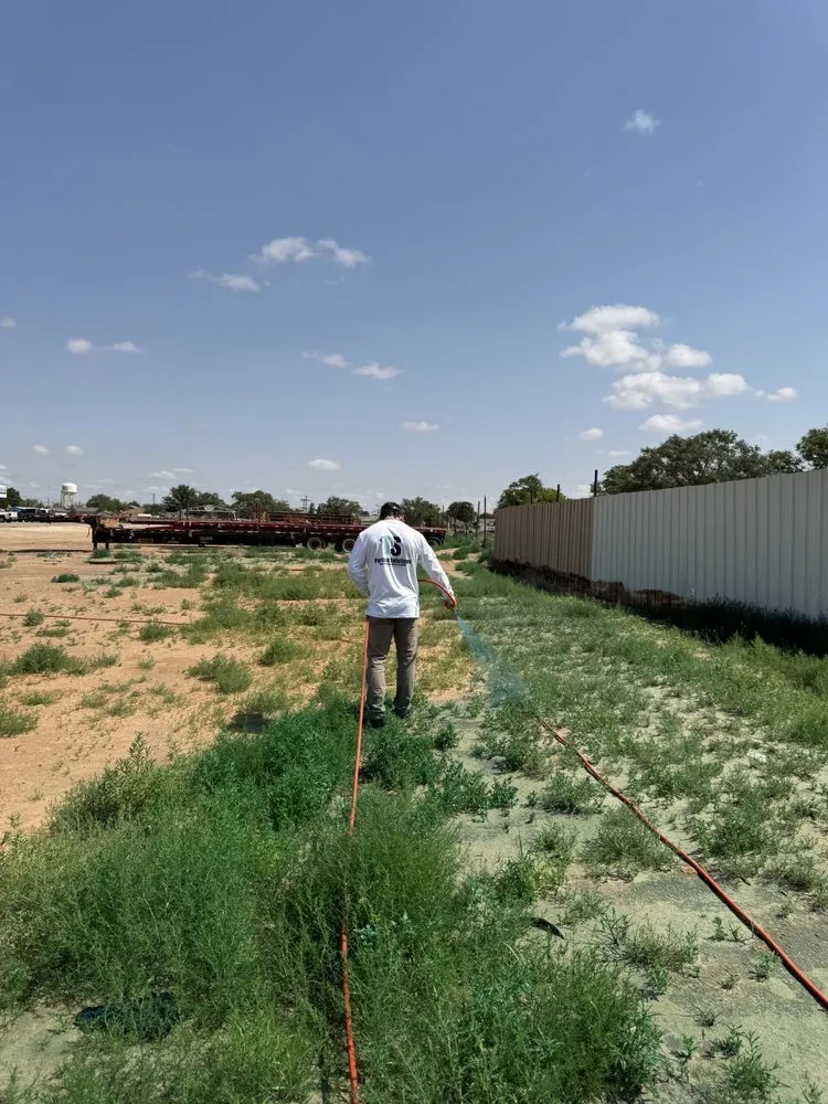 Trusted lawn care service in Lubbock, TX - Partico Solutions