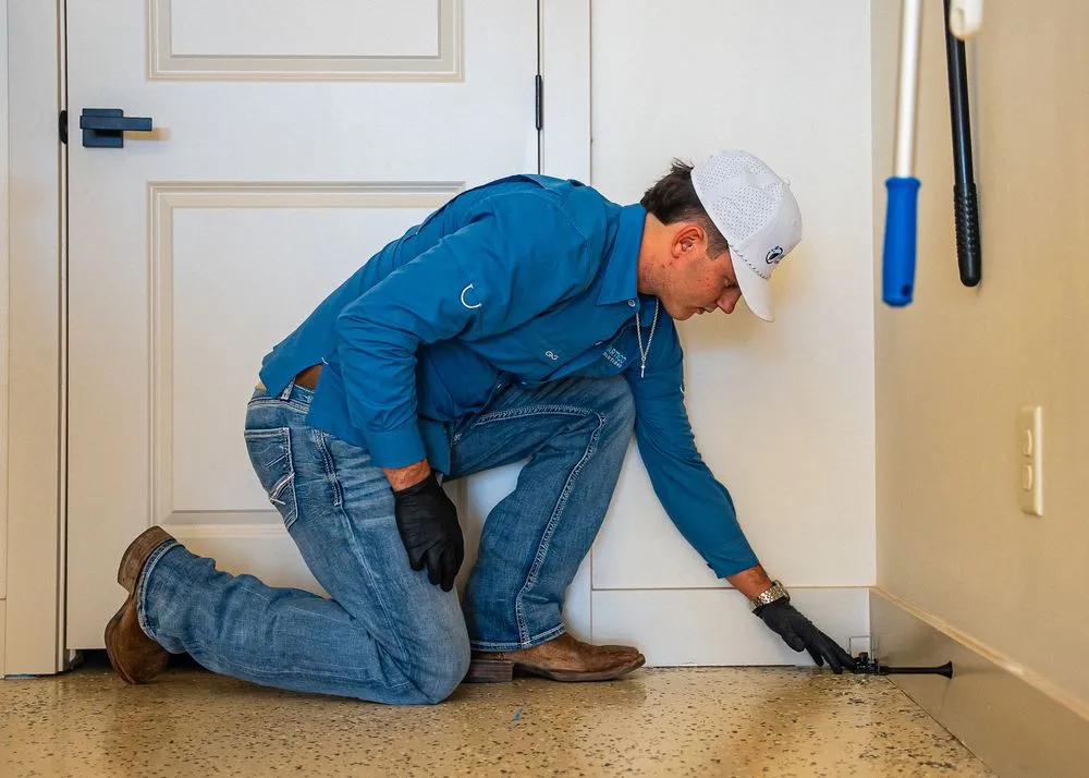 Trusted landscaping services in Lubbock, TX by Partico Solutions