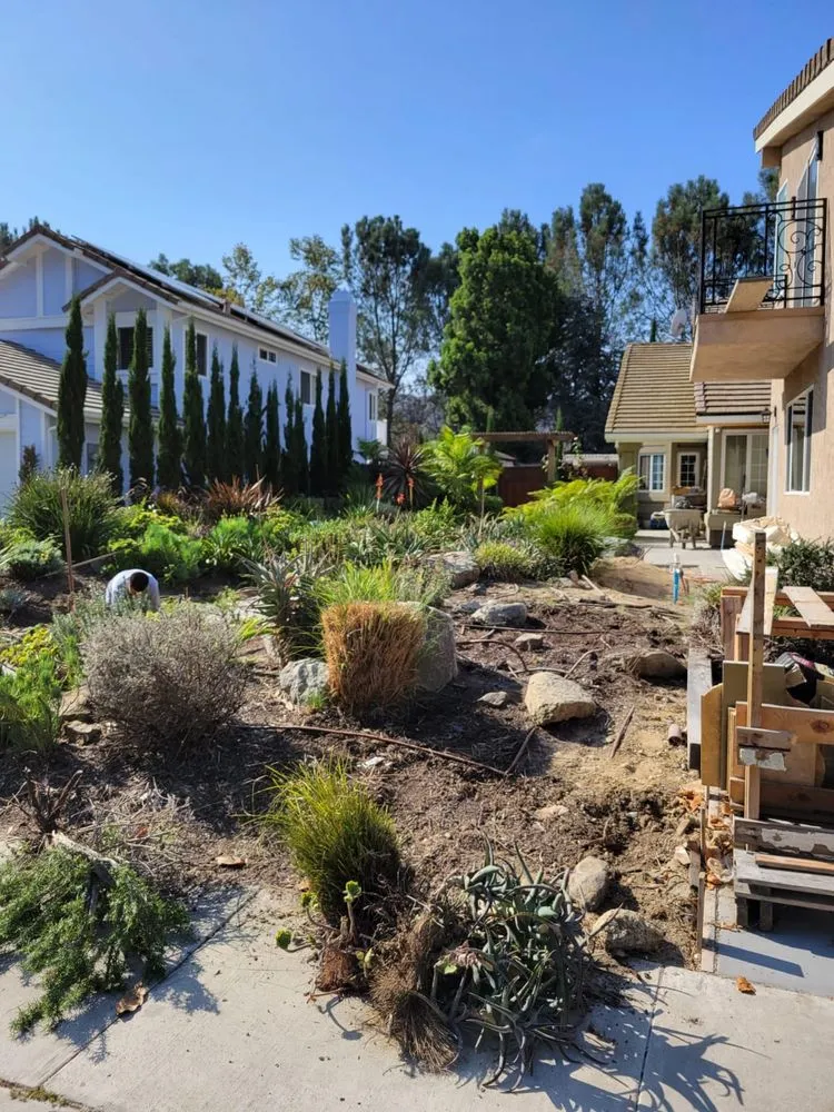 Trusted yard cleanup service for homes across National City, CA - Partida's Maintenance