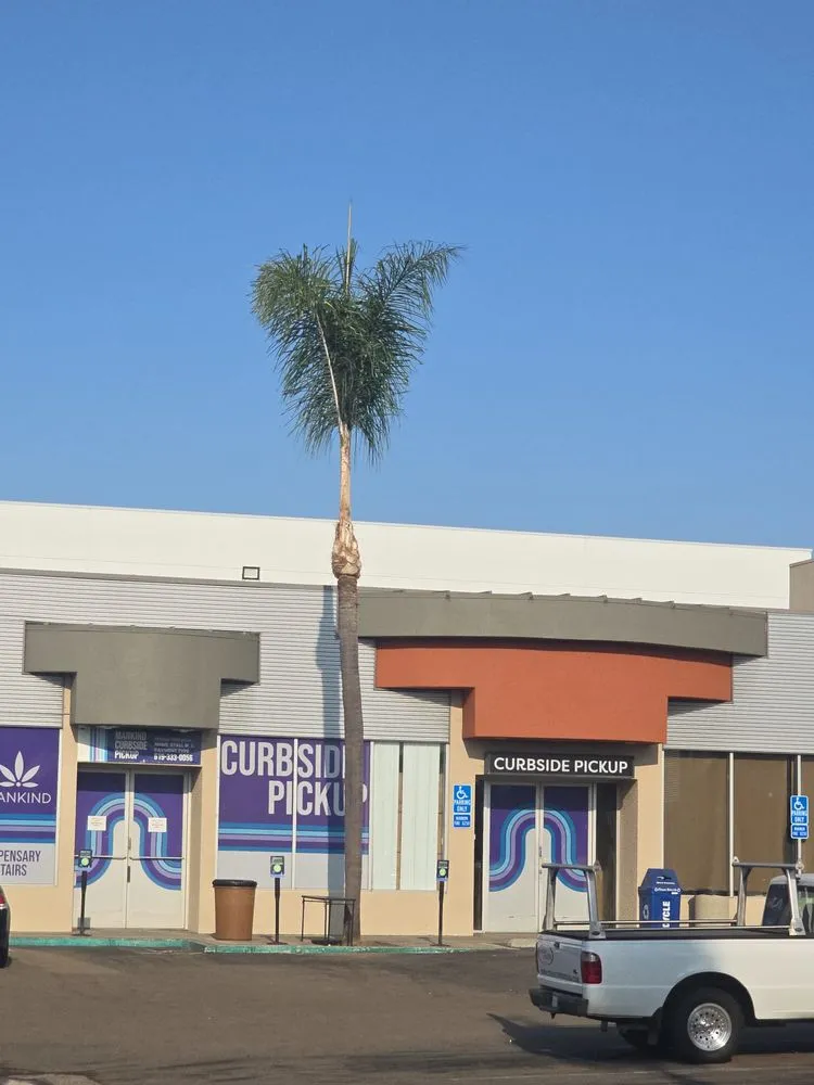 Reliable landscape installation for outdoor upgrades in National City, CA by Partida's Maintenance