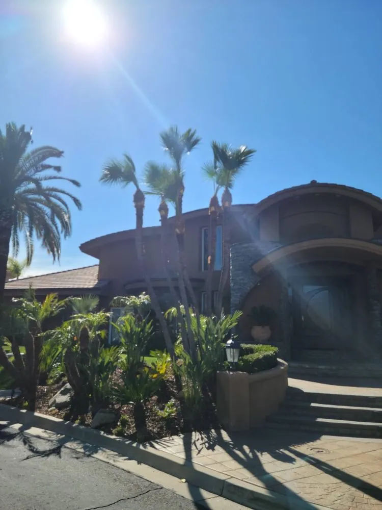 Reliable yard cleanup service in National City, CA - Partida's Maintenance