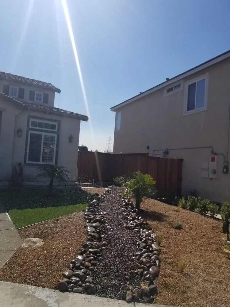 Reliable yard cleanup service experts serving National City, CA - Partida's Maintenance