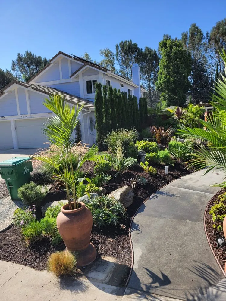 Professional lawn care service in National City, CA - Partida's Maintenance