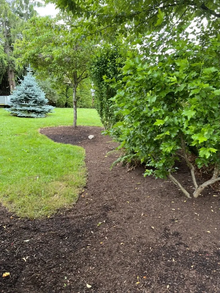 Expert lawn care service in Lakewood, WA by Partners Landscaping
