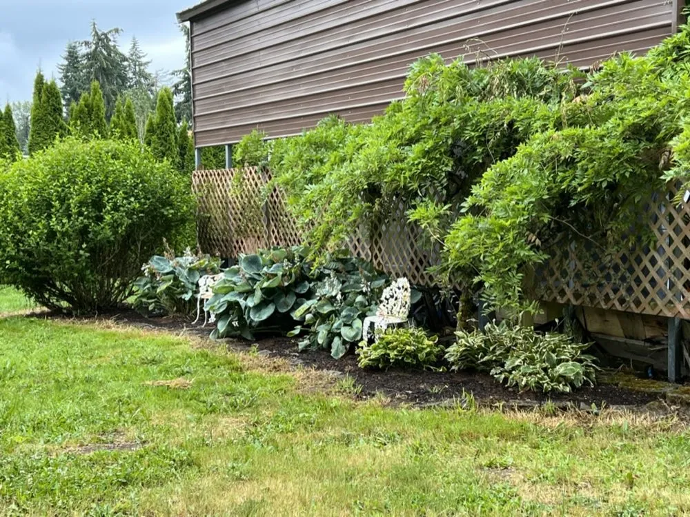 Affordable landscaping services in Lakewood, WA by Partners Landscaping