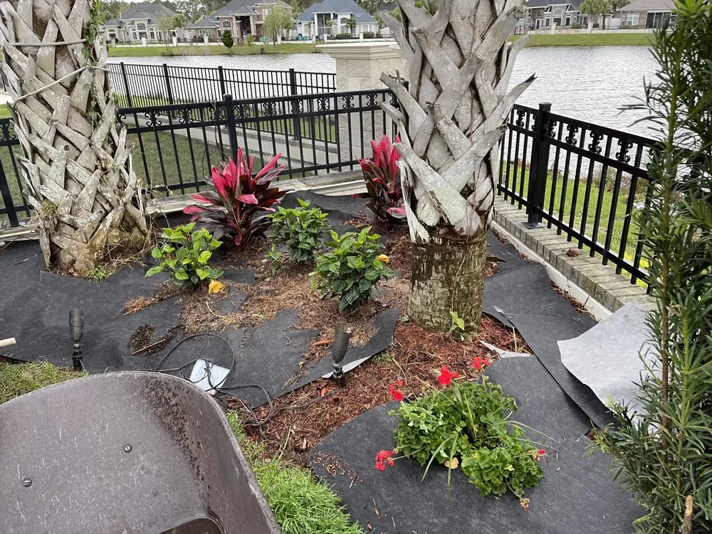Affordable outdoor landscaping in Longs, SC by Partners Landscaping