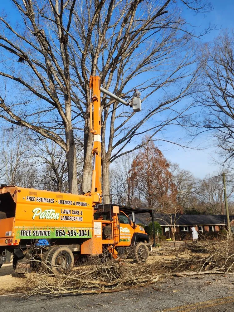 Local landscape design in Moore, SC by Parton Lawncare Landscaping and Tree Services