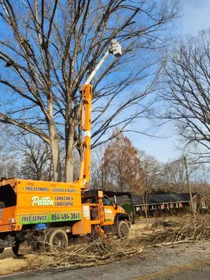 Parton Lawncare Landscaping and Tree Services Logo
