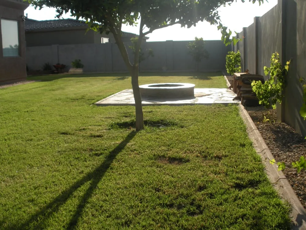 Professional landscape design in Phoenix, AZ by Pas Bros Landscaping