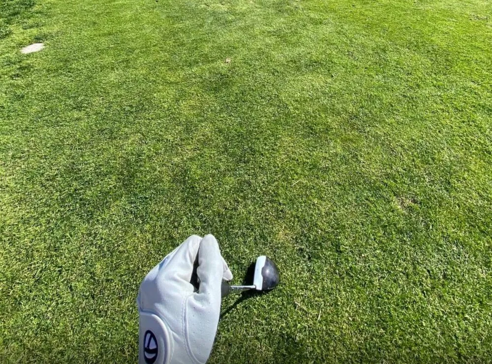 Custom lawn mowing service in Boynton Beach, FL by PAS Landscaping