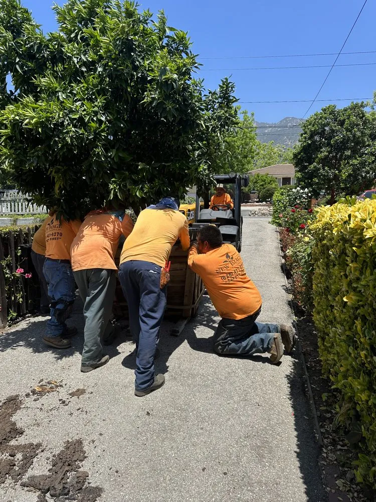 Professional lawn mowing service in Pasadena, CA by Pasadena Garden Care