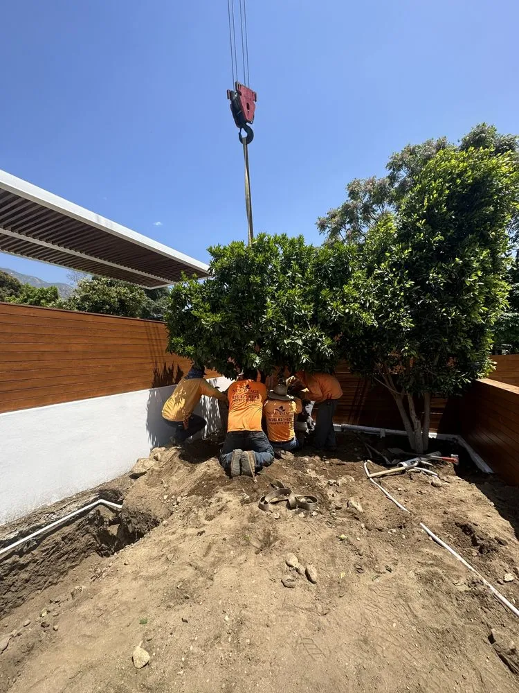 Professional yard cleanup service for residential properties in Pasadena, CA by Pasadena Garden Care