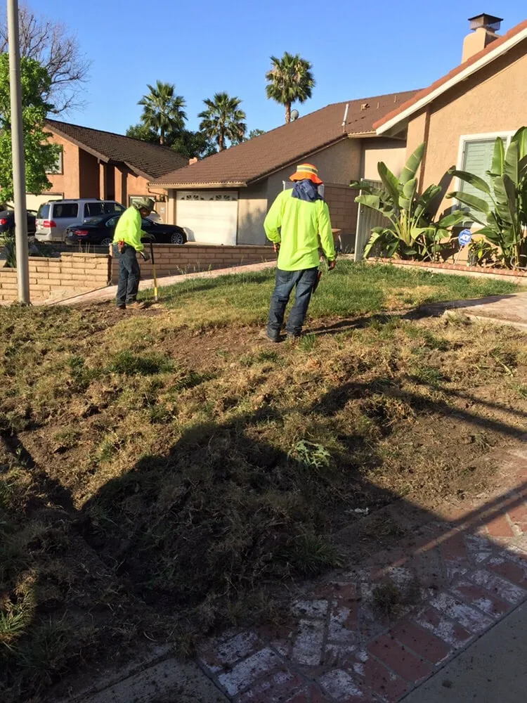 Expert outdoor landscaping in Pasadena, CA - Pasadena Garden Care