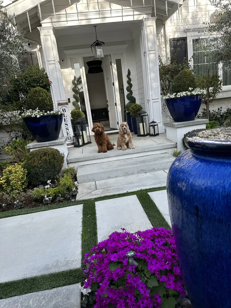 Reliable landscape design in Pasadena, CA - Pasadena Garden Care