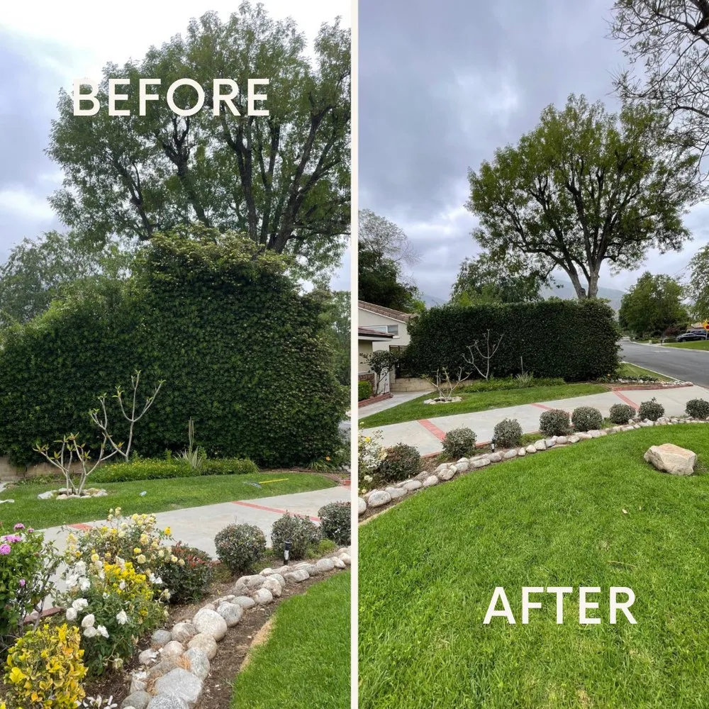 Professional landscape design in Pasadena, CA - Pasadena Landscaping