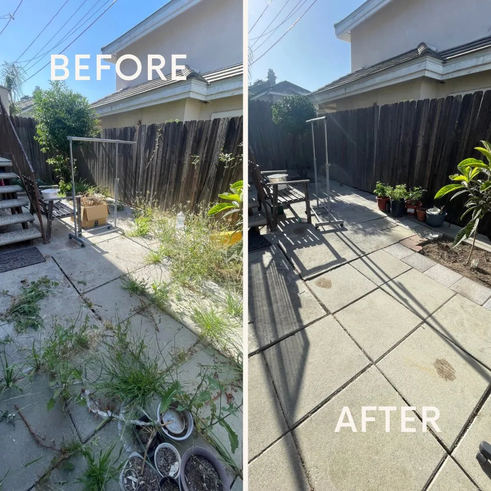 Reliable yard maintenance in Pasadena, CA by Pasadena Landscaping