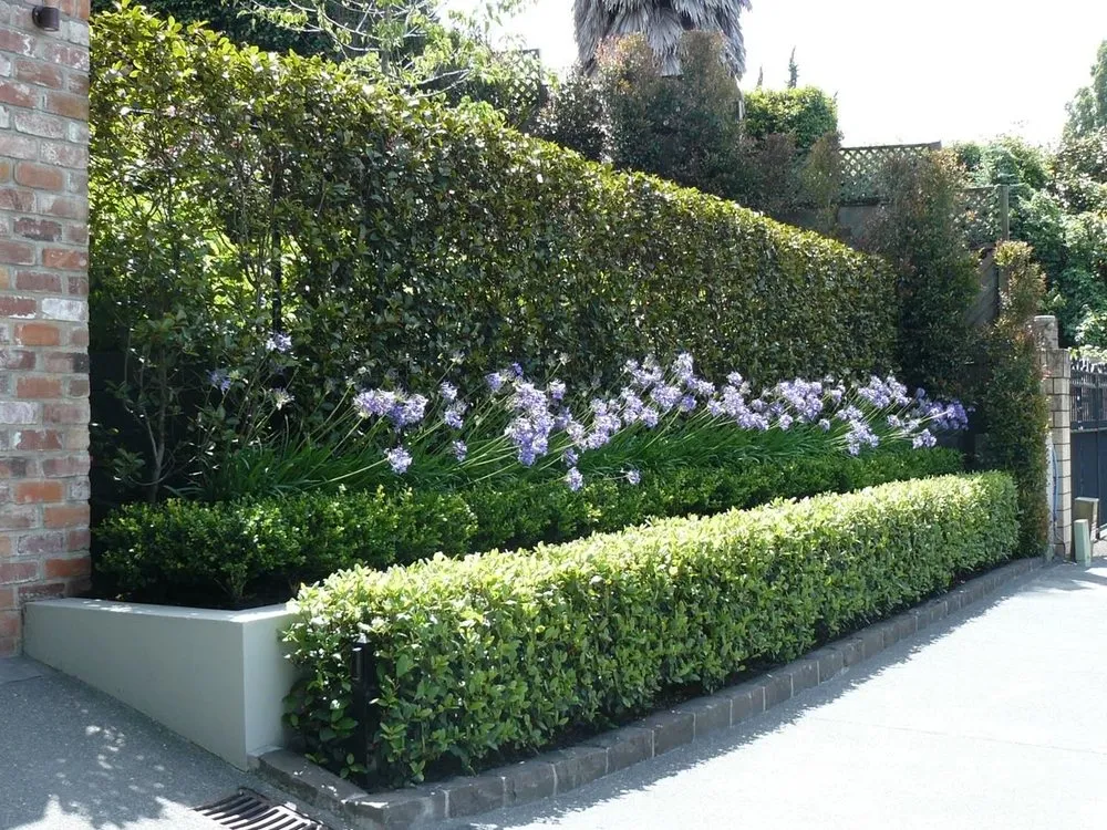 Affordable landscape installation near you in Pasadena, CA by Pasadena Landscaping