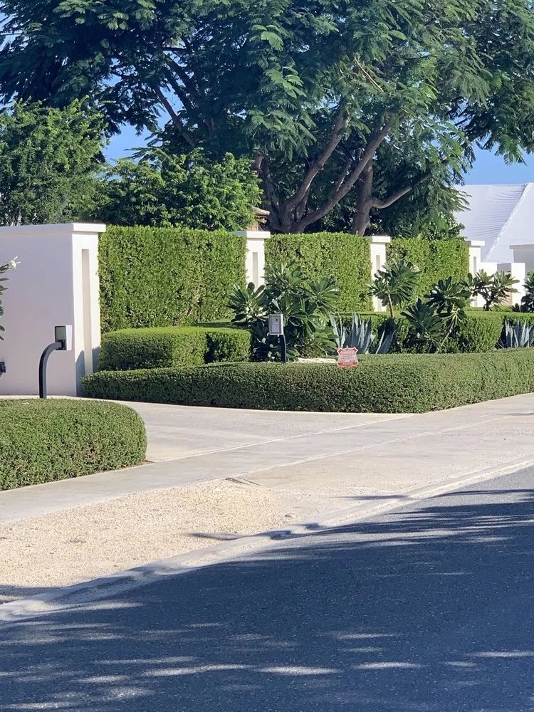 Custom yard cleanup service for residential properties in Pasadena, CA by Pasadena Landscaping