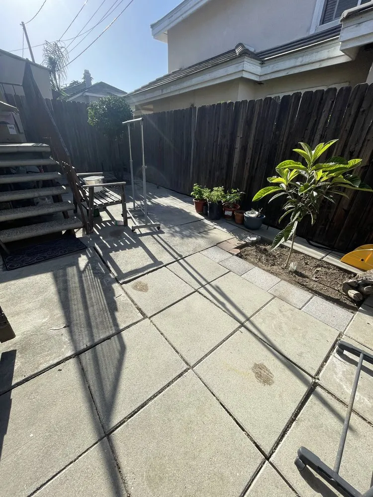 Local yard cleanup service in Pasadena, CA by Pasadena Landscaping