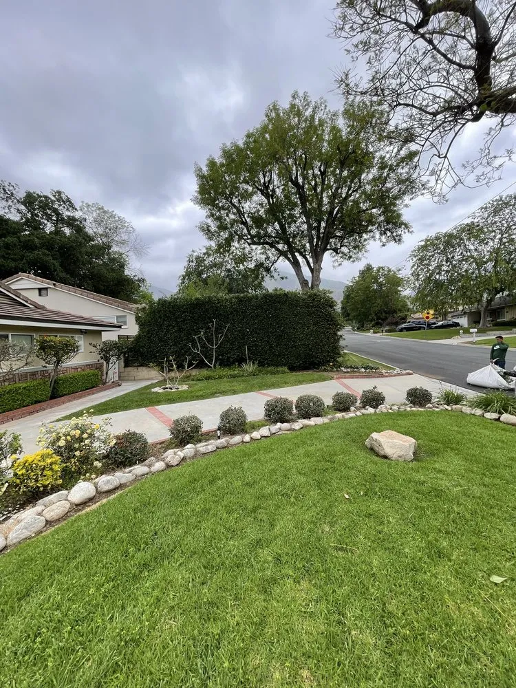 Local yard cleanup service in Pasadena, CA by Pasadena Landscaping