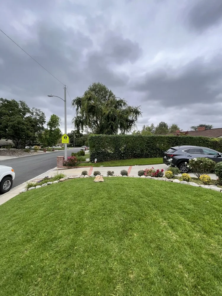 Professional outdoor landscaping in Pasadena, CA by Pasadena Landscaping