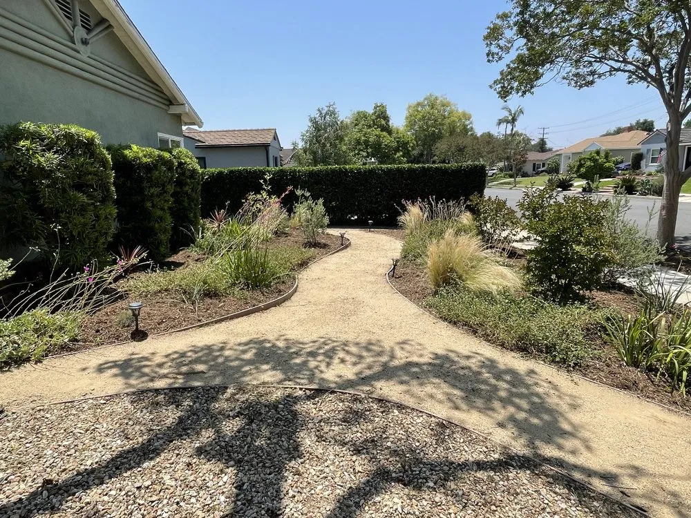 Professional landscape design in Pasadena, CA by Pasadena Landscaping