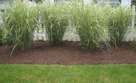Trusted lawn mowing service in Hillsdale, NJ - Pascack Valley Landscaping