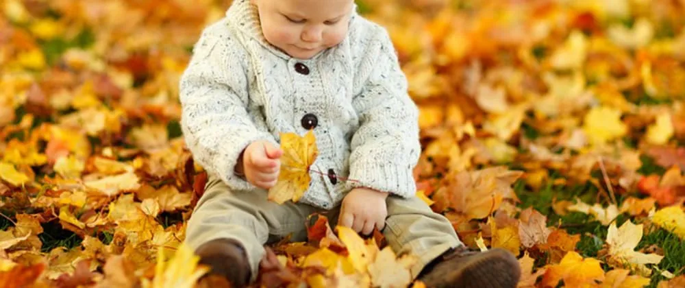 Affordable yard cleanup service in Pascagoula, MS - Pascagoula Lawn Care