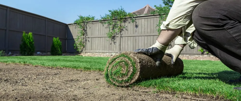 Trusted lawn mowing service in Pascagoula, MS by Pascagoula Lawn Care