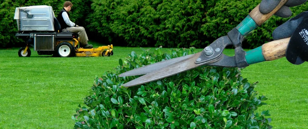 Professional yard maintenance in Pascagoula, MS - Pascagoula Lawn Care