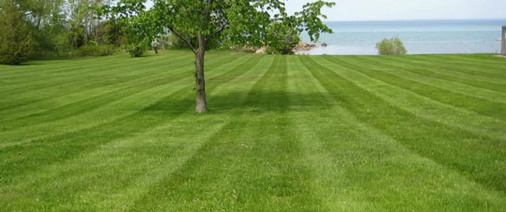 Top-rated landscape installation experts serving Pascagoula, MS - Pascagoula Lawn Care