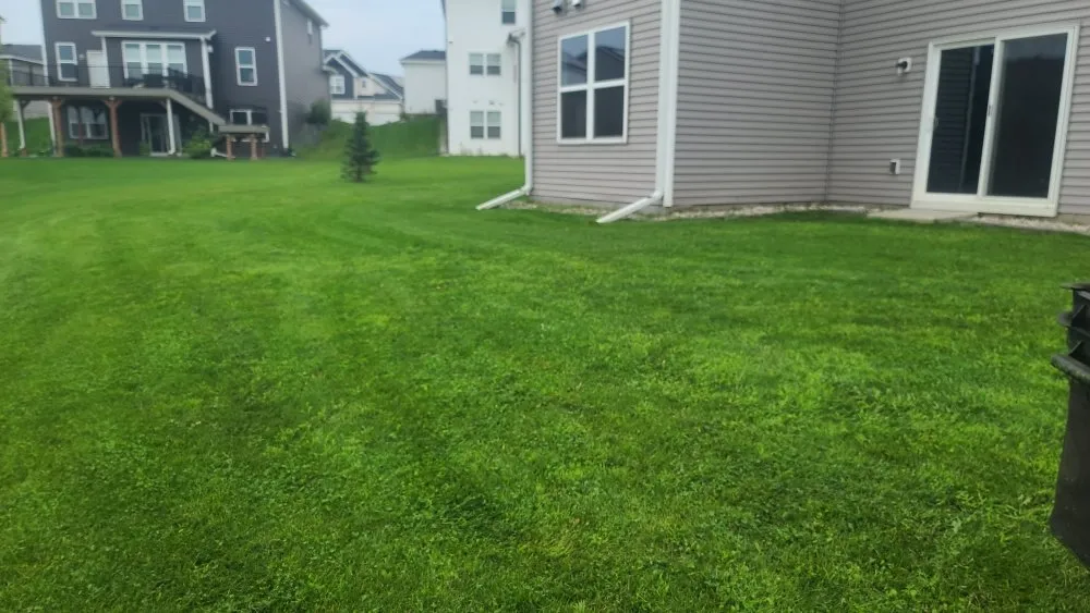 Affordable yard cleanup service in Saint Paul, MN by Pascal Lawn Care Services