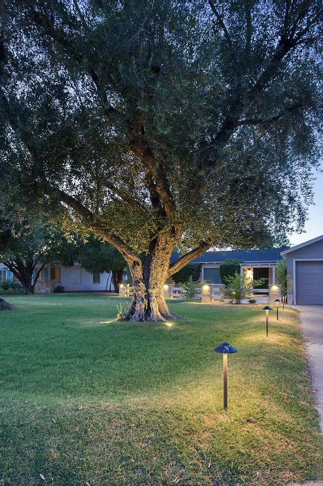 Trusted lawn care service in Scottsdale, AZ - Pascale Land Design