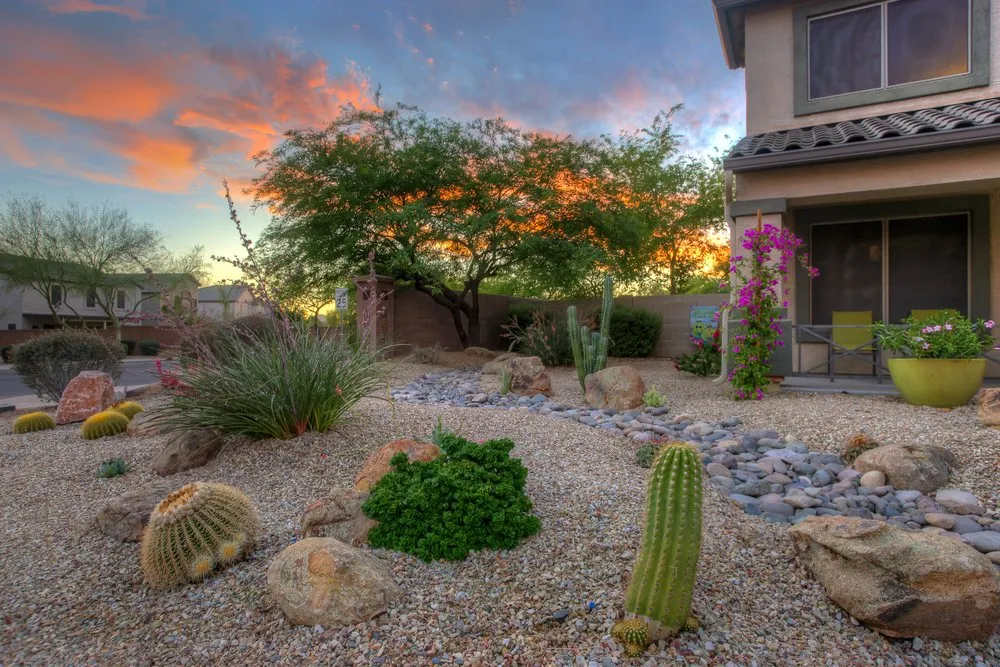 Reliable landscape installation in Scottsdale, AZ by Pascale Land Design