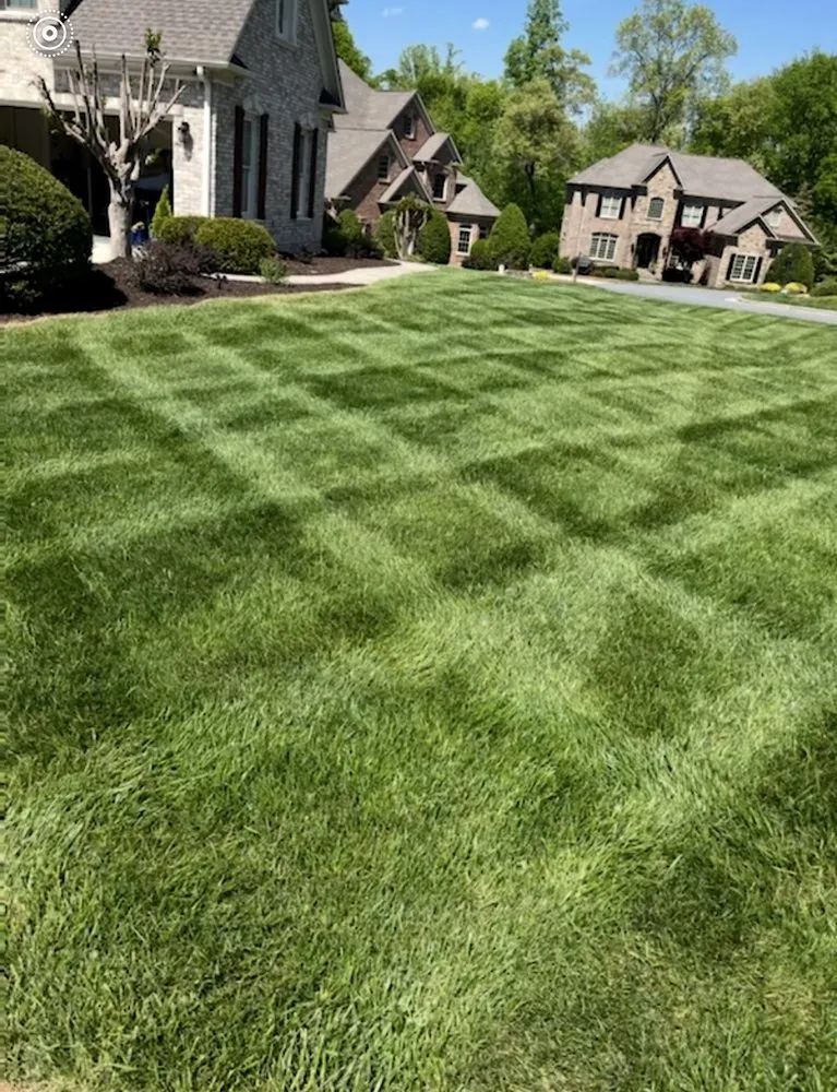 Custom yard maintenance for homes across Randleman, NC - Paschal Landscaping