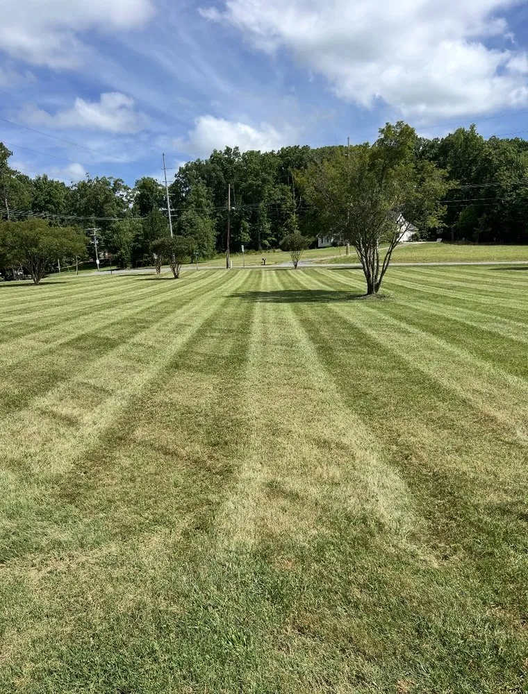 Expert lawn mowing service in Randleman, NC - Paschal Landscaping